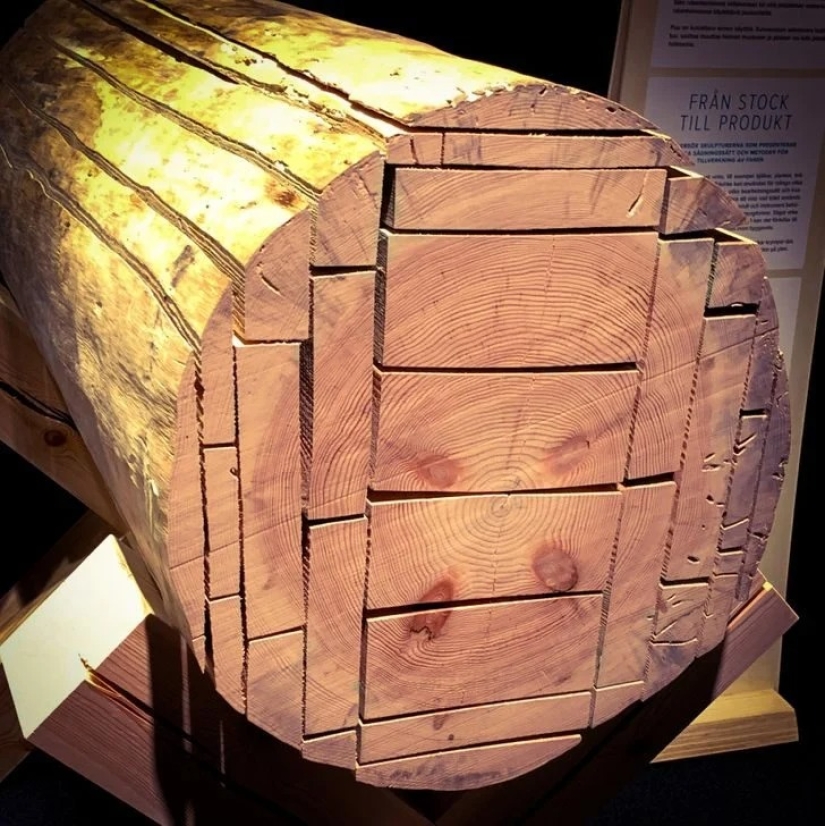 20 fotos impresionantes que necesitas ver al menos una vez en tu vida 20 fotos impresionantes que necesitas ver al menos una vez en tu vida