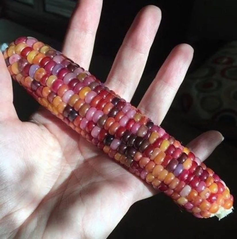 20 fotos impresionantes que necesitas ver al menos una vez en tu vida 20 fotos impresionantes que necesitas ver al menos una vez en tu vida