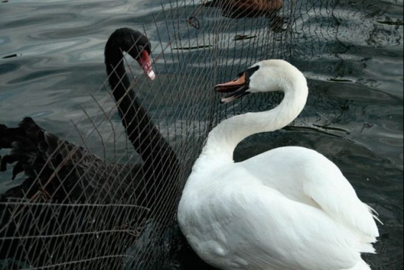20 fotos increíbles que demuestran claramente el poder del "antes y después"