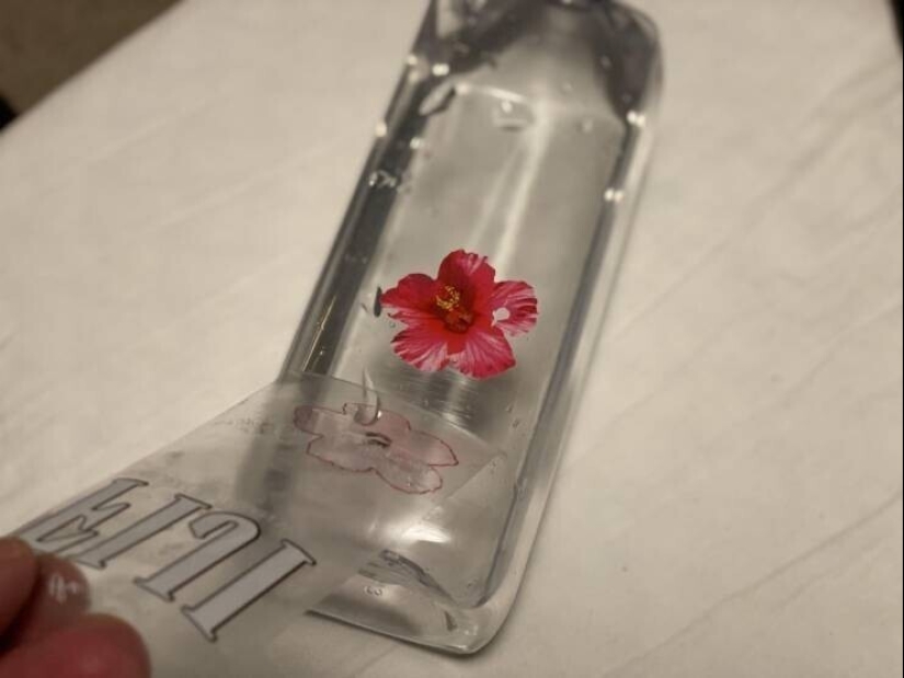 20 + fotos interesantes con fenómenos raros e inusuales 20 + fotos interesantes con fenómenos raros e inusuales