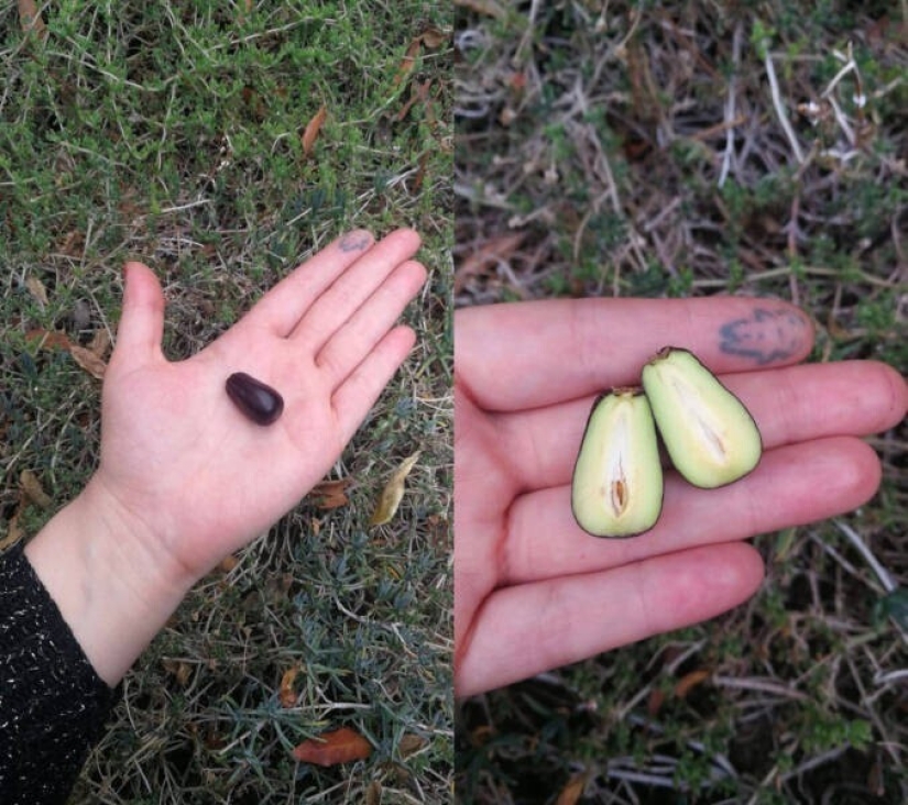 20 + fotos interesantes con fenómenos raros e inusuales 20 + fotos interesantes con fenómenos raros e inusuales