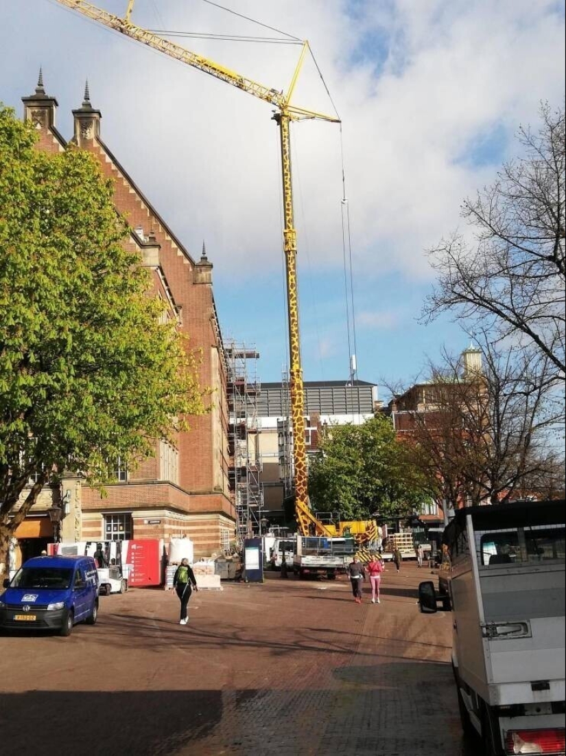 20 + fotos interesantes con fenómenos raros e inusuales 20 + fotos interesantes con fenómenos raros e inusuales