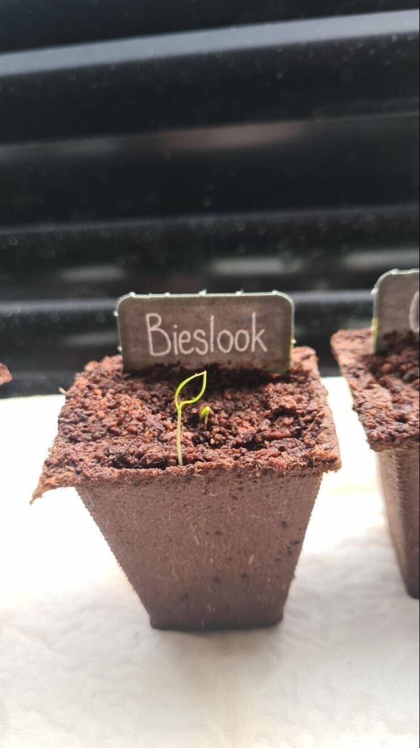 20 + fotos interesantes con fenómenos raros e inusuales 20 + fotos interesantes con fenómenos raros e inusuales