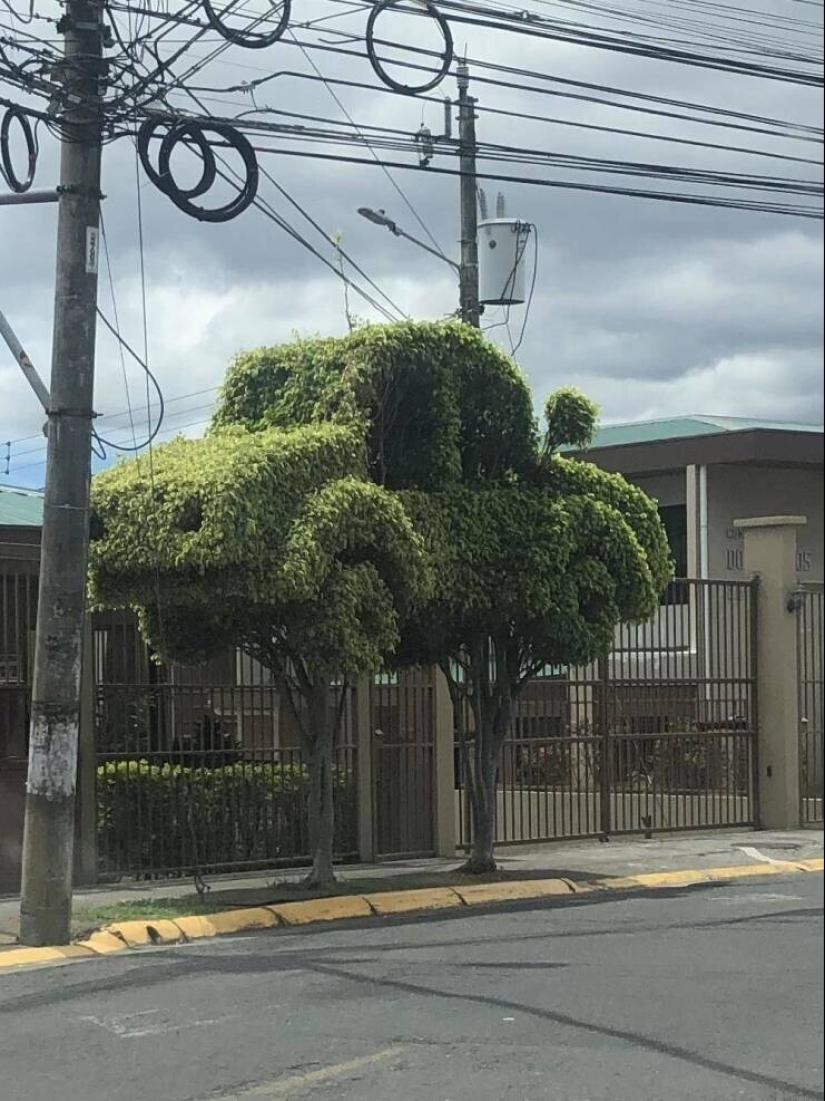 20 + fotos interesantes con fenómenos raros e inusuales 20 + fotos interesantes con fenómenos raros e inusuales