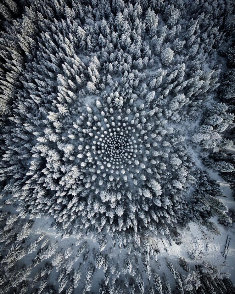 20 fotos inusuales que pueden sorprender incluso a los más sofisticados 20 fotos inusuales que pueden sorprender incluso a los más sofisticados