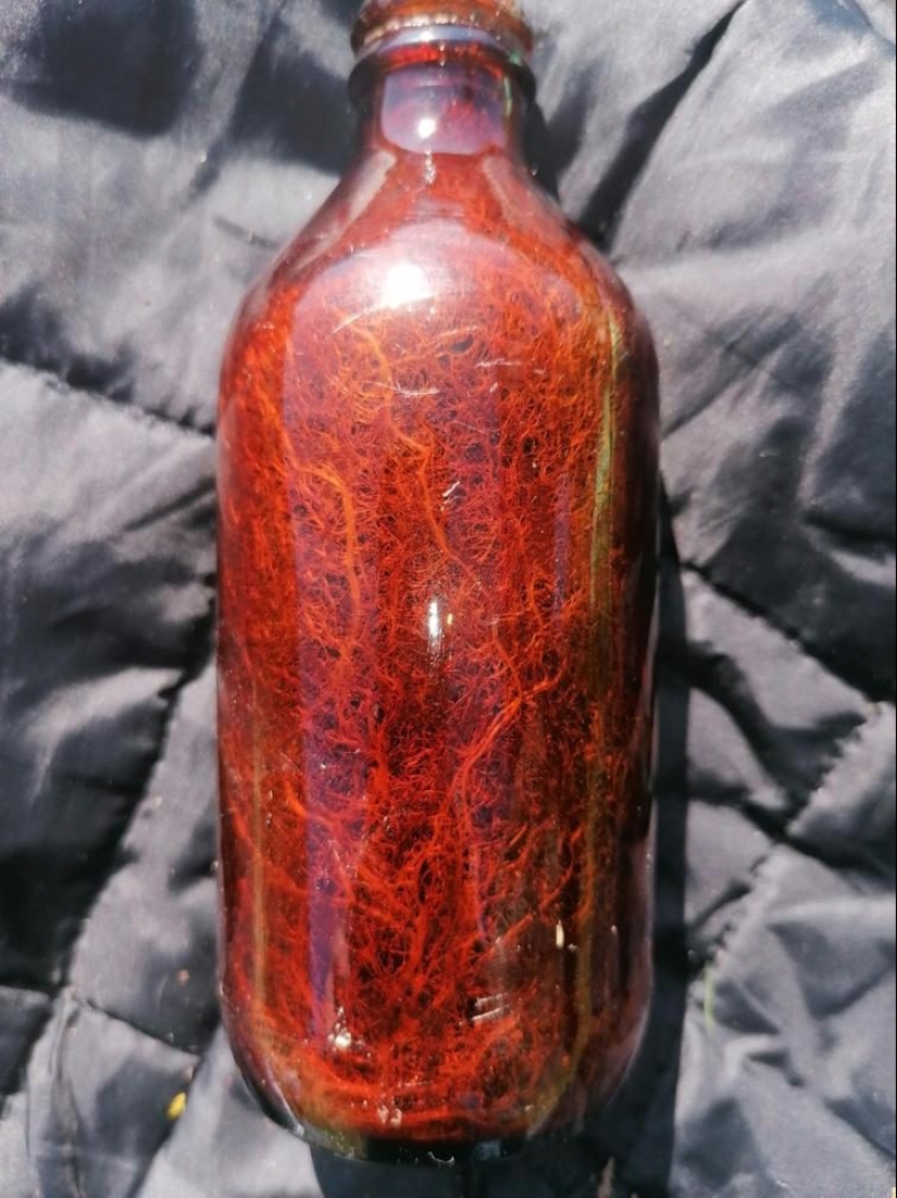 20 fotos inusuales que pueden sorprender incluso a los más sofisticados 20 fotos inusuales que pueden sorprender incluso a los más sofisticados