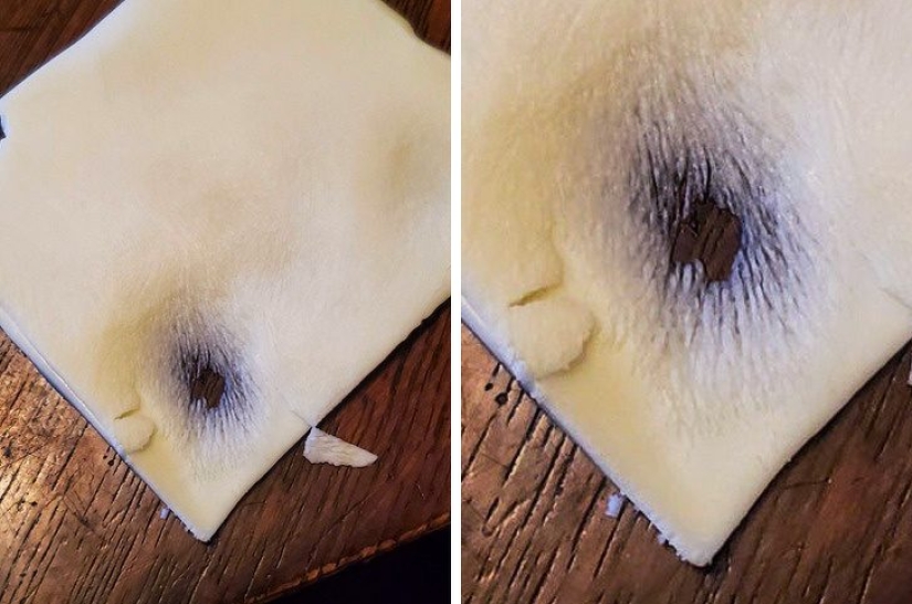 20 fotos inusuales que pueden sorprender incluso a los más sofisticados 20 fotos inusuales que pueden sorprender incluso a los más sofisticados