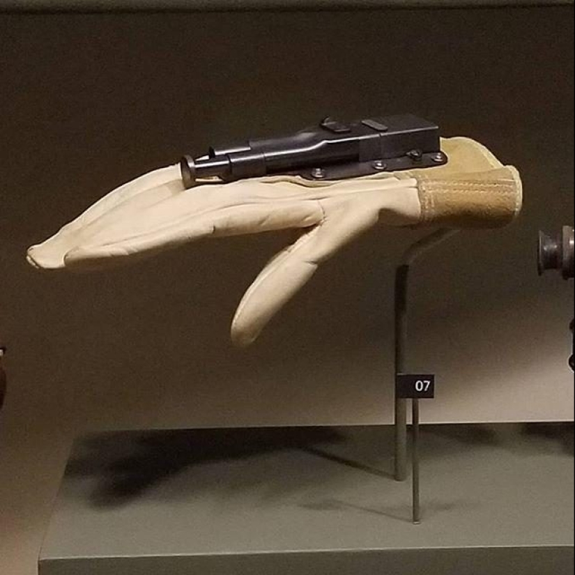 20 fotos inusuales que pueden sorprender incluso a los más sofisticados 20 fotos inusuales que pueden sorprender incluso a los más sofisticados