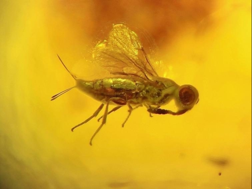 20 fotos inusuales que pueden sorprender incluso a los más sofisticados 20 fotos inusuales que pueden sorprender incluso a los más sofisticados