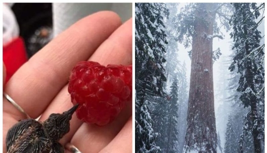 20 fotos que demuestran que el transporte público es una gran locura