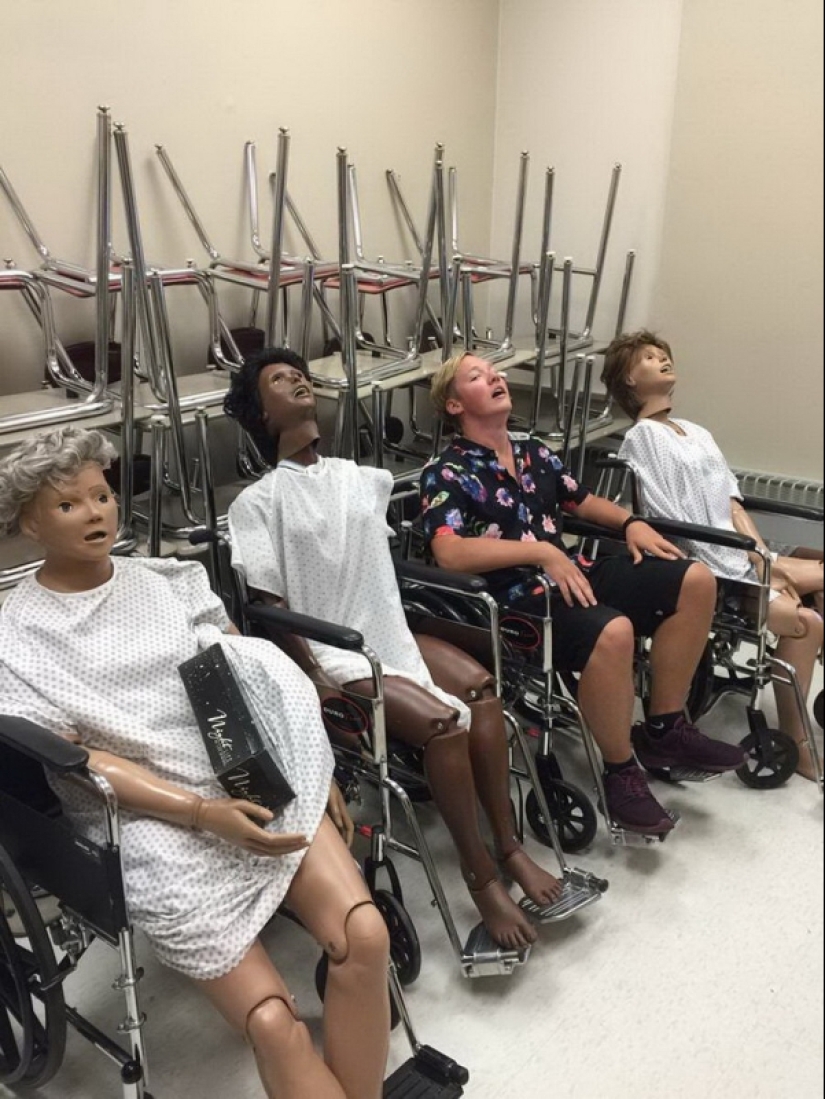 20 fotos que está sucediendo no entender que