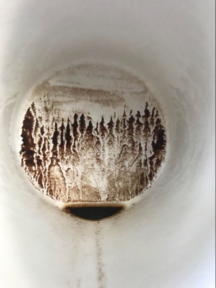 20 fotos que harán las delicias de verdad perfeccionistas 20 fotos que harán las delicias de verdad perfeccionistas