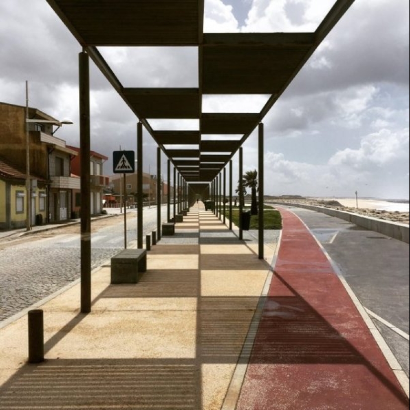 20 fotos que harán las delicias de verdad perfeccionistas 20 fotos que harán las delicias de verdad perfeccionistas