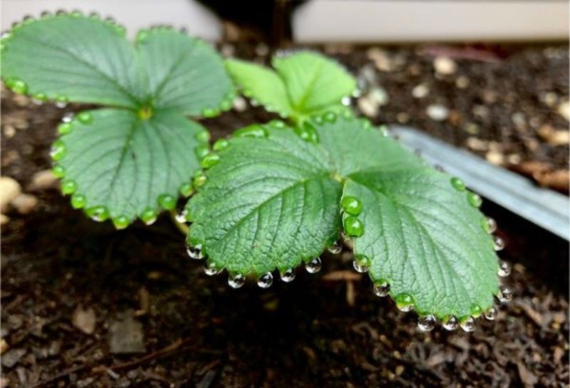 20 fotos que le dará el placer estético