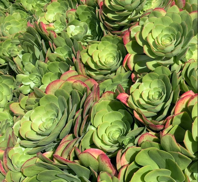 20 fotos que los fans apreciarán es simplemente perfecto 20 fotos que los fans apreciarán es simplemente perfecto