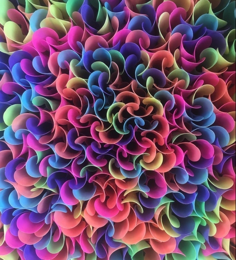 20 fotos que los fans apreciarán es simplemente perfecto 20 fotos que los fans apreciarán es simplemente perfecto