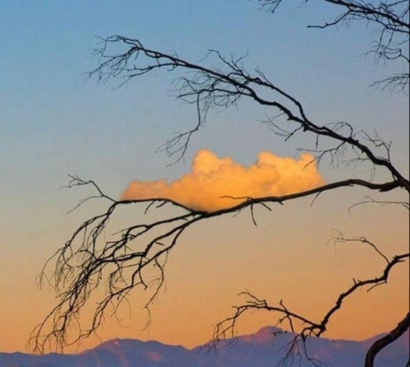 20 fotos que los fans apreciarán es simplemente perfecto 20 fotos que los fans apreciarán es simplemente perfecto