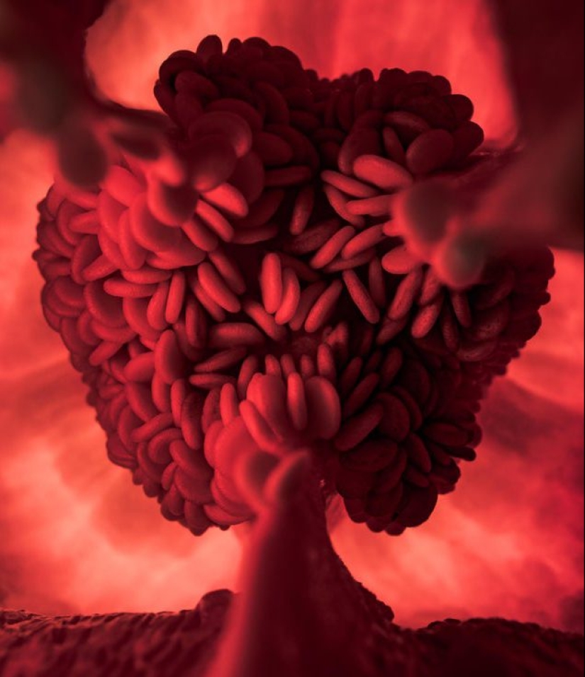 20 fotos que representan algo completamente diferente de lo que parece a primera vista