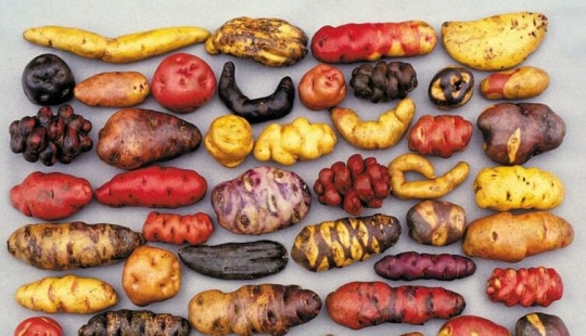 20 fotos que te contarán historias increíbles