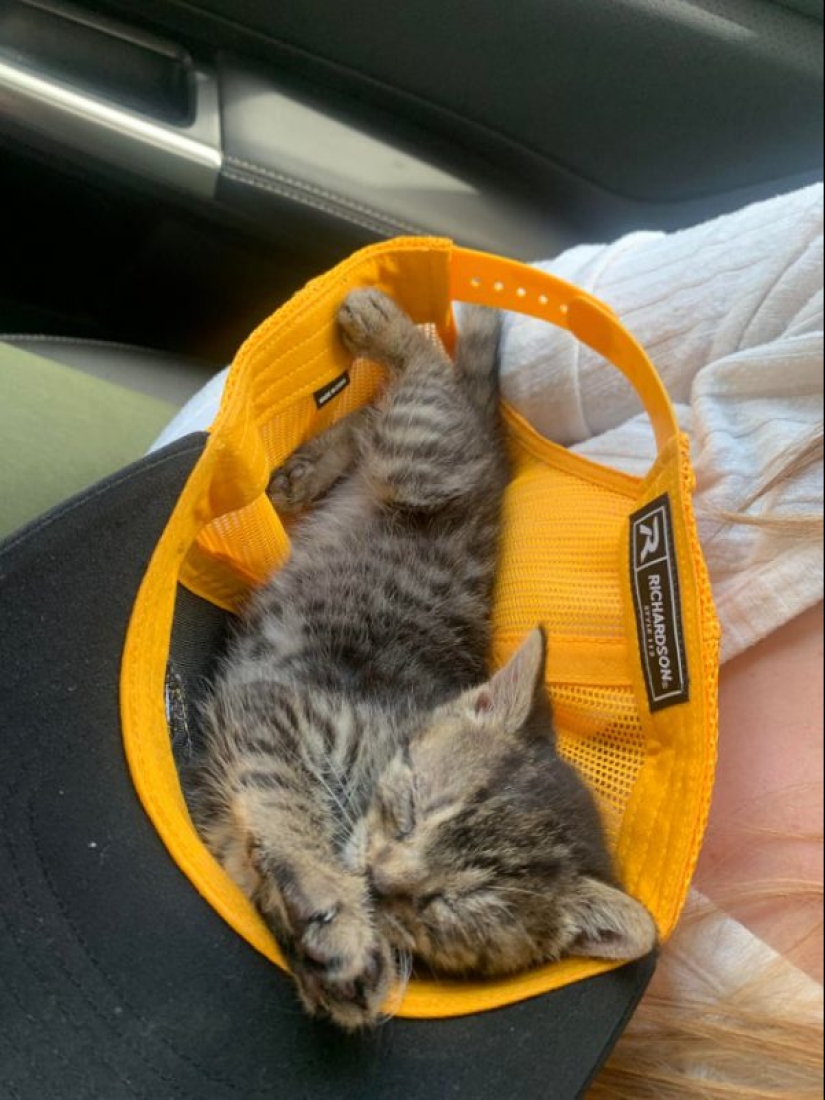 20 fotos súper miméticas que te encantarán