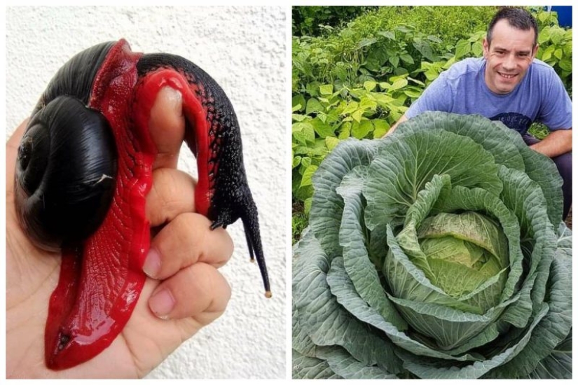 20 frames that look like photoshop but are actually real