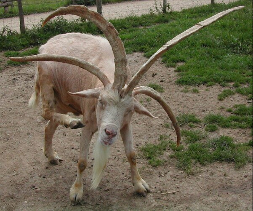 20 frames that look like photoshop but are actually real