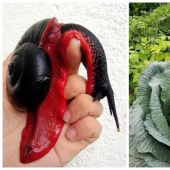 20 frames that look like photoshop but are actually real