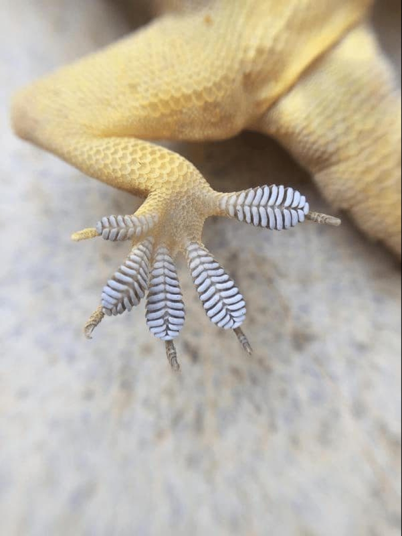 20 frames that look like photoshop but are actually real