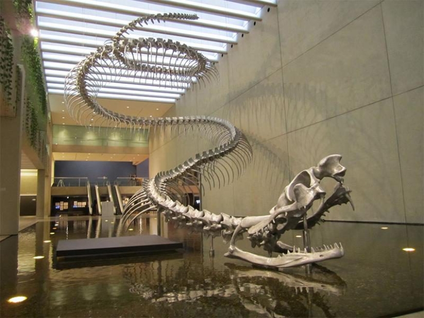 20 frames that look like photoshop but are actually real