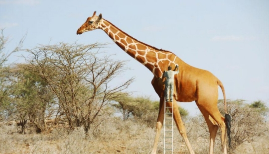 20 Fun Photo Manipulations by Digital Artist Anil Saxena