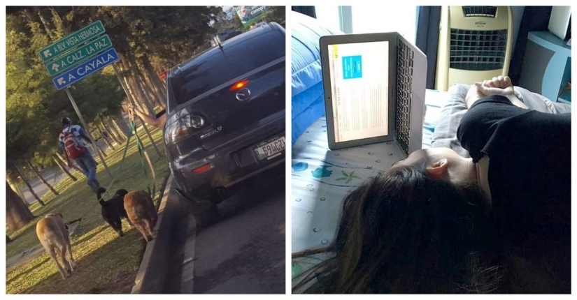 20 funny examples of when mother laziness won