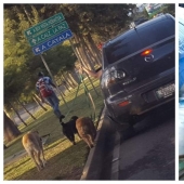 20 funny examples of when mother laziness won