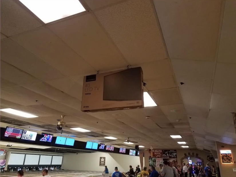 20 funny joints that you won't even look at without shuddering 20 funny joints that you won't even look at without shuddering