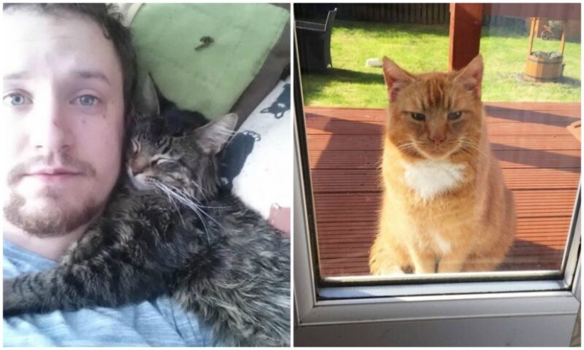 20 funny joints that you won't even look at without shuddering 20 funny joints that you won't even look at without shuddering