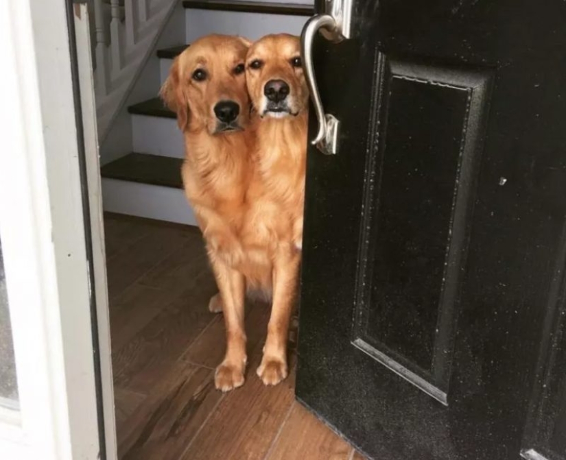 20 funny optical illusions that occur in everyday life 20 funny optical illusions that occur in everyday life