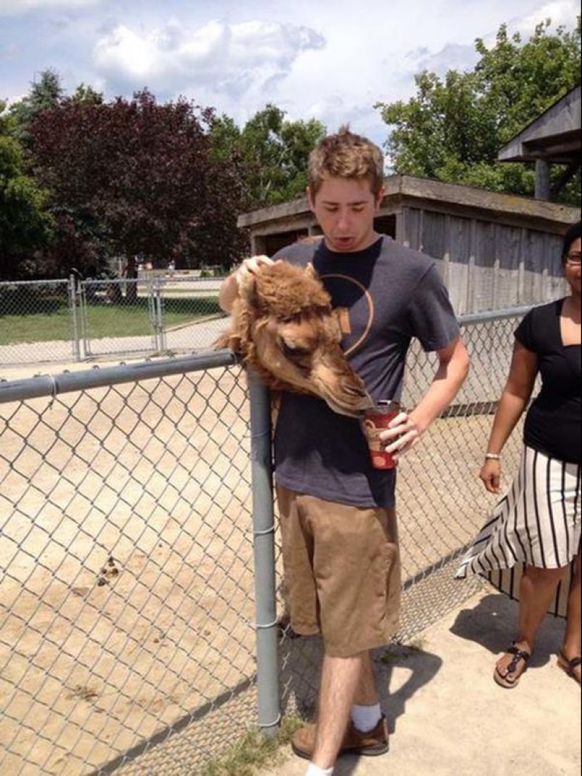 20 funny optical illusions that occur in everyday life 20 funny optical illusions that occur in everyday life