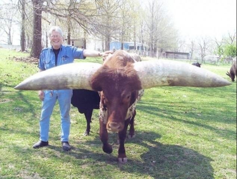 20 Gigantic Natural Objects That Will Shock You 20 Gigantic Natural Objects That Will Shock You