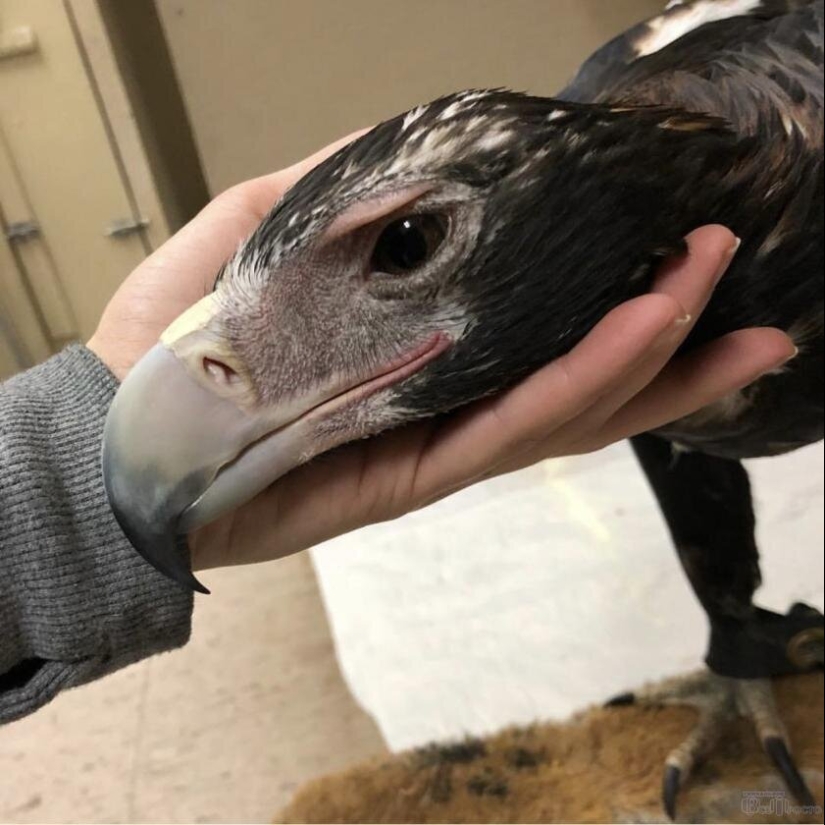 20 Gigantic Natural Objects That Will Shock You 20 Gigantic Natural Objects That Will Shock You