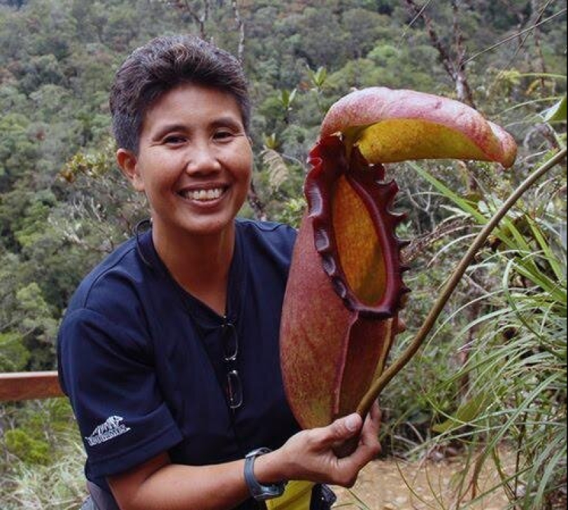 20 Gigantic Natural Objects That Will Shock You 20 Gigantic Natural Objects That Will Shock You