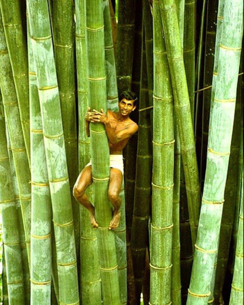 20 Gigantic Natural Objects That Will Shock You 20 Gigantic Natural Objects That Will Shock You