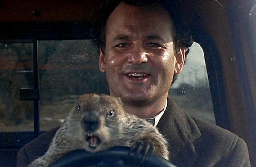 20 good movies, which is light in my soul 20 good movies, which is light in my soul