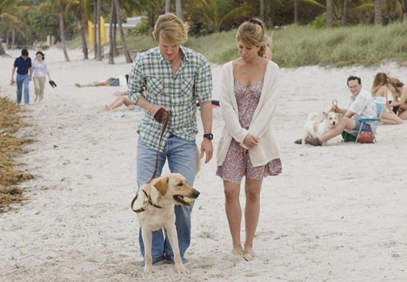 20 good movies, which is light in my soul 20 good movies, which is light in my soul