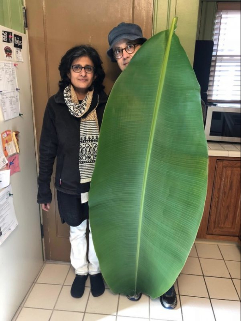 20 great things, to estimate the size of which can be compared only