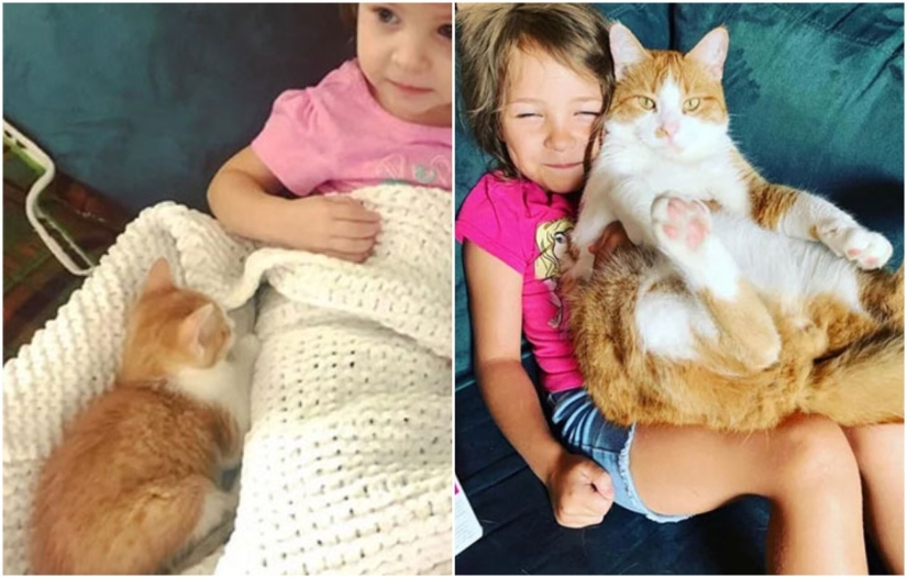 20+ heart touching pictures about how to quickly grow our favorite koteyki