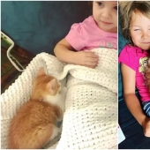 20+ heart touching pictures about how to quickly grow our favorite koteyki