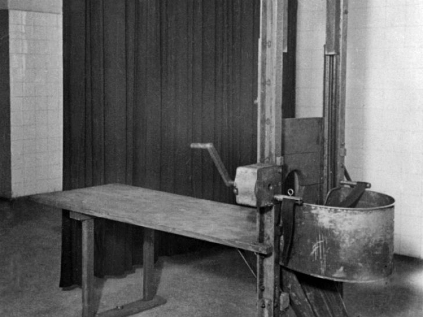 20 hechos históricos tan absurdos que parecen falsos 20 hechos históricos tan absurdos que parecen falsos