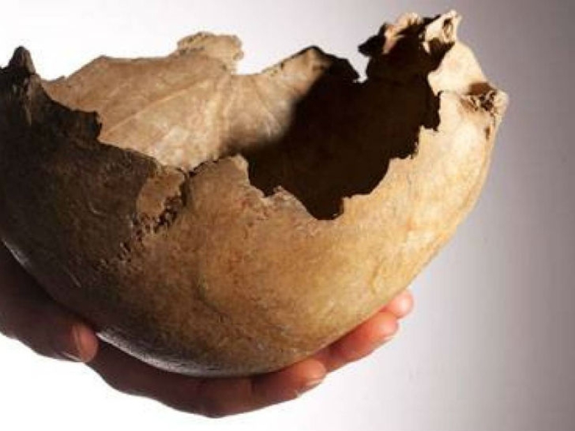 20 hechos históricos tan absurdos que parecen falsos 20 hechos históricos tan absurdos que parecen falsos