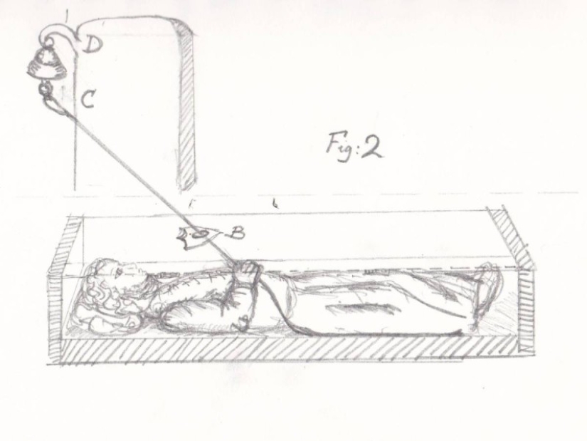 20 hechos históricos tan absurdos que parecen falsos 20 hechos históricos tan absurdos que parecen falsos