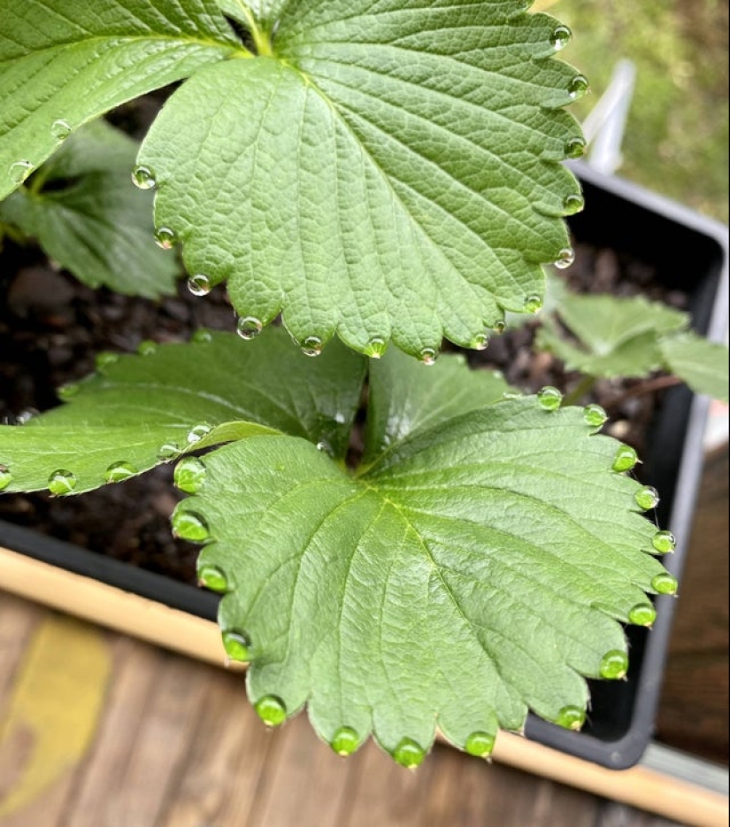 20 illustrative examples of what is meant by "a visual treat" 20 illustrative examples of what is meant by "a visual treat"