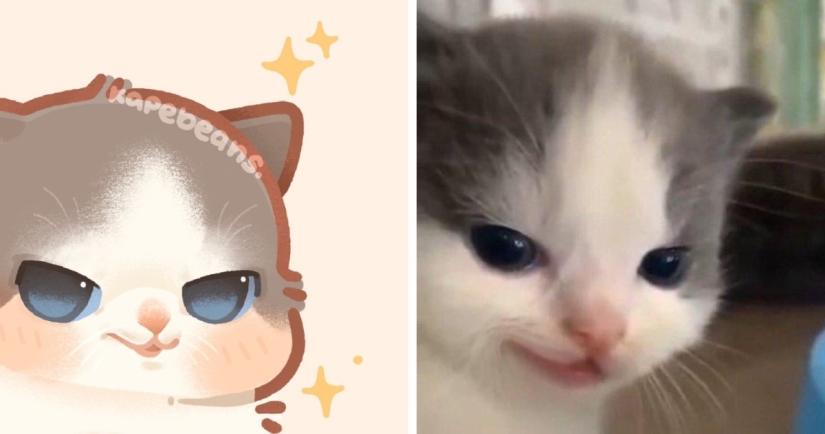 20 ilustraciones increíblemente lindas de animales lindos de Internet 20 ilustraciones increíblemente lindas de animales lindos de Internet